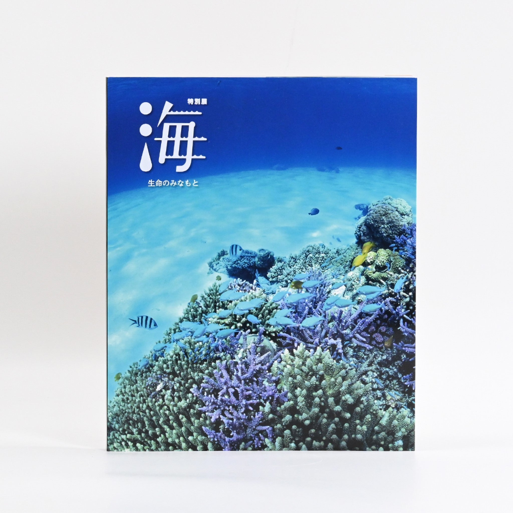 特別展「海 ―生命のみなもと―」公式図録- NHKグループ公式通販 - NHK