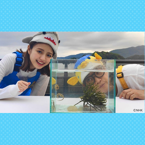 【オンデマンド配信】「ギョギョッとサカナ★スター選手権」vol.5 さかなクンが選ぶ「かくれんぼが得意な魚」ベスト3