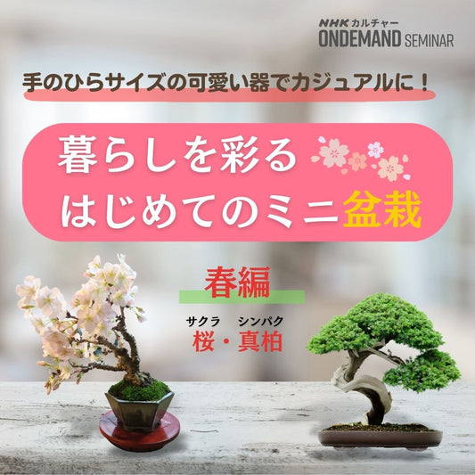 【オンデマンド配信】暮らしを彩る はじめてのミニ盆栽 春編 ~桜・真柏~