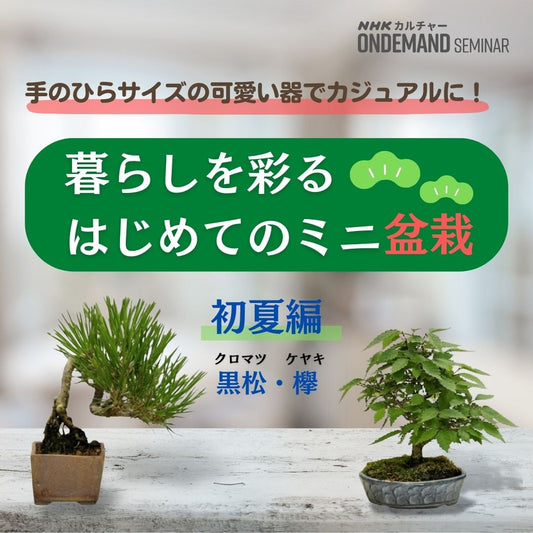 【オンデマンド配信】暮らしを彩る はじめてのミニ盆栽 初夏編 ~黒松・欅~