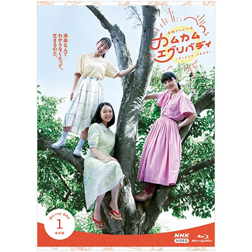 カムカムエヴリバディ 完全版 ブルーレイBOX1 連続テレビ小説 -NHK 