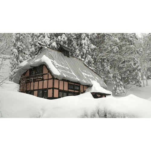 カールさんとティーナさんの古民家村だより DVD-BOX 全3枚