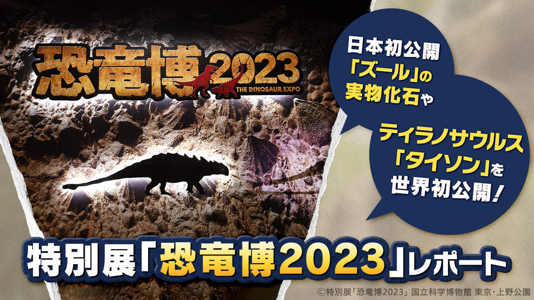 日本初上陸、世界初公開の化石で“攻守”の進化を読み解く「恐竜博2023