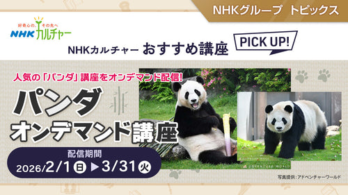 「NHKカルチャー」で人気のパンダ講座を期間限定でオンデマンド配信中!(3/31まで)