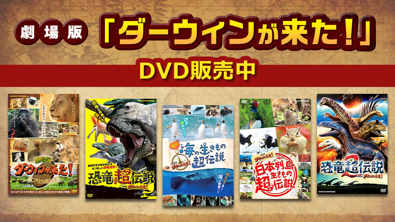 劇場版「ダーウィンが来た！」DVDを販売中！