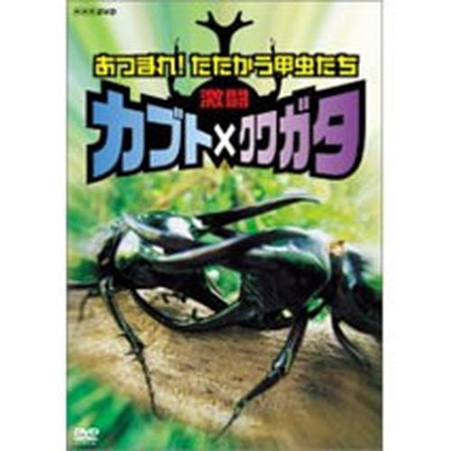 あつまれ！たたかう甲虫たち　激闘　カブト×クワガタ DVD