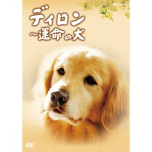 ディロン 運命の犬 DVD 全2枚