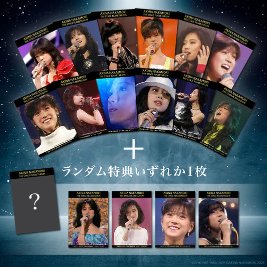 中森明菜　ブロマイド・コンプリートセット(12枚＋特典1枚入り）