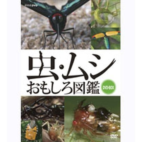 虫・ムシ おもしろ図鑑 セット [DVD](中古品) 虫・ムシ おもしろ図鑑 DVD 全3枚 -NHKグループ公式通販 - NHKグループ