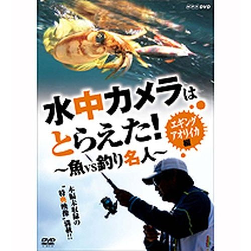 水中カメラはとらえた！ 魚VS釣り名人 エギング アオリイカ編 DVD