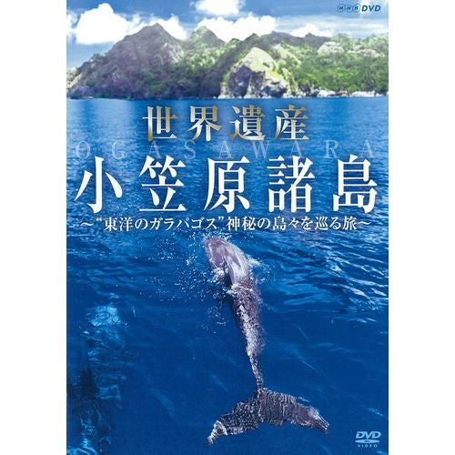 世界遺産 小笠原諸島 “東洋のガラパゴス” 神秘の島々を巡る旅 DVD