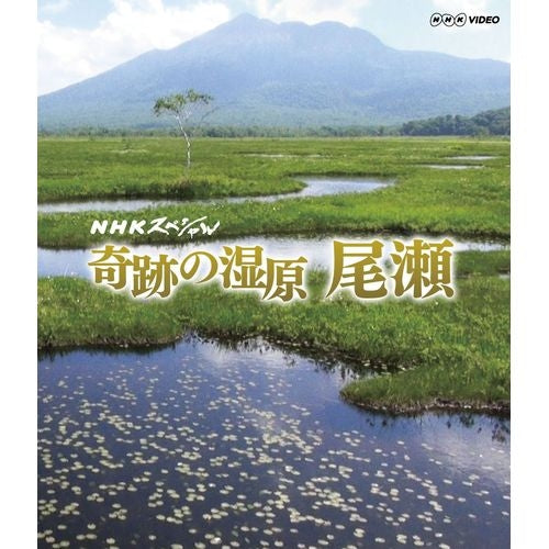 NHKスペシャル 奇跡の湿原 尾瀬 ブルーレイ