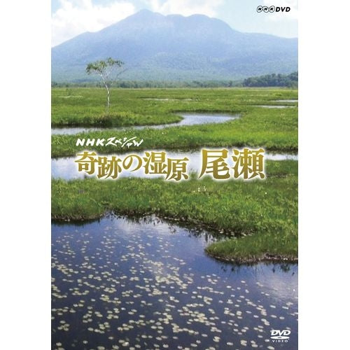 NHKスペシャル 奇跡の湿原 尾瀬 DVD