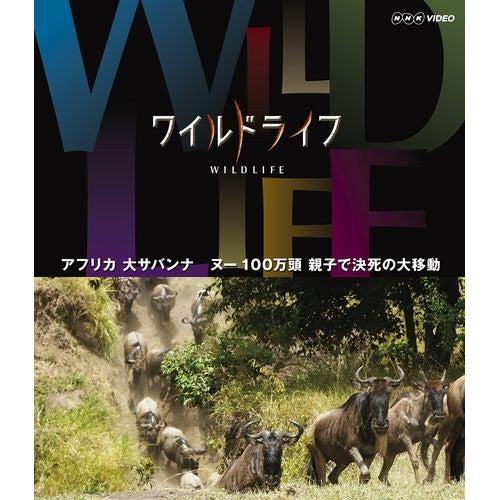 ワイルドライフ アフリカ大サバンナ ヌー100万頭 親子で決死の大移動 ブルーレイ