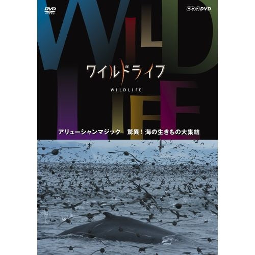 ワイルドライフ アリューシャンマジック 驚異！海の生きもの大集結 DVD