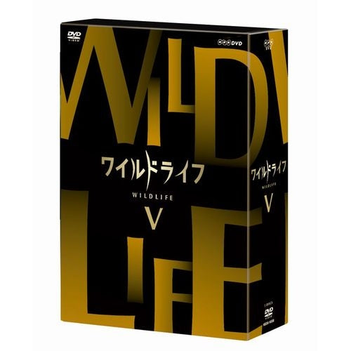 ワイルドライフ DVD-BOX5 全3枚