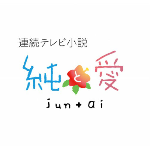 連続テレビ小説 純と愛 総集編 ブルーレイ 全2枚