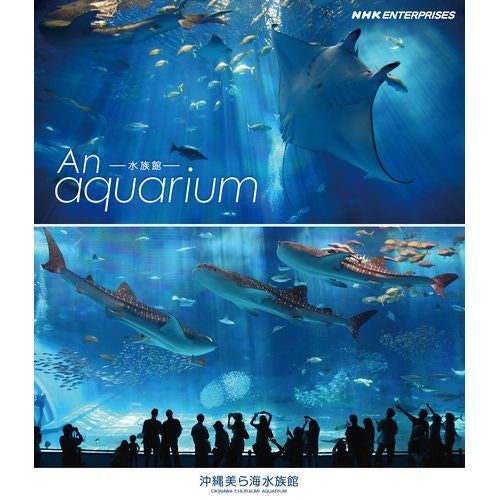 An Aquarium －水族館 － 沖縄美ら海水族館 ブルーレイ