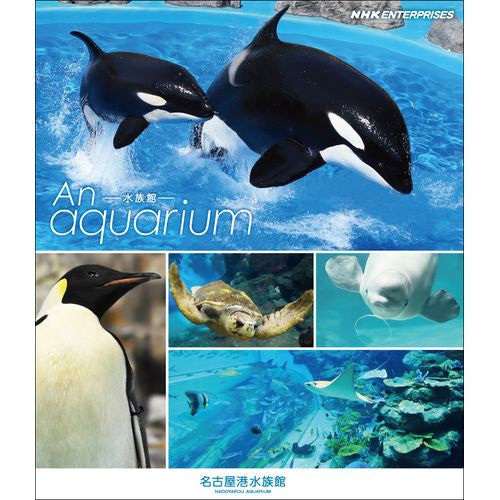 An Aquarium －水族館 － 名古屋港水族館 ブルーレイ　