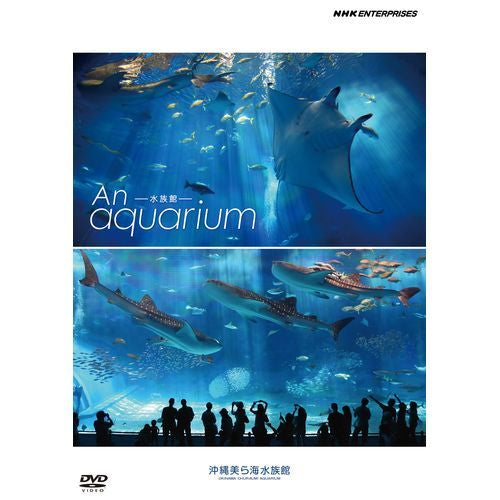 An Aquarium －水族館 － 沖縄美ら海水族館 DVD