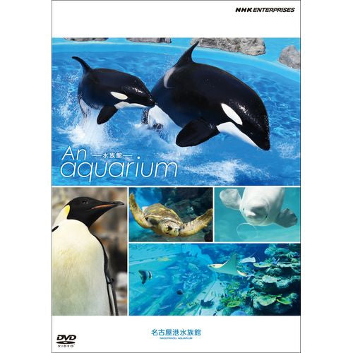 An Aquarium －水族館 － 名古屋港水族館 DVD