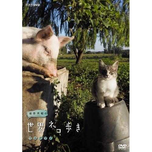 岩合光昭の世界ネコ歩き　ウルグアイ DVD