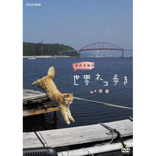 岩合光昭の世界ネコ歩き　山口 DVD