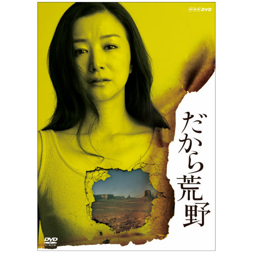 だから荒野 DVD-BOX 全4枚