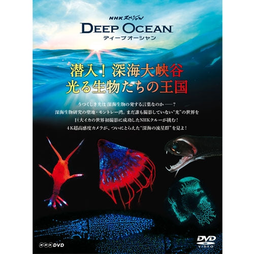 NHKスペシャル ディープ オーシャン 潜入！深海大峡谷 光る生物たちの王国　DVD
