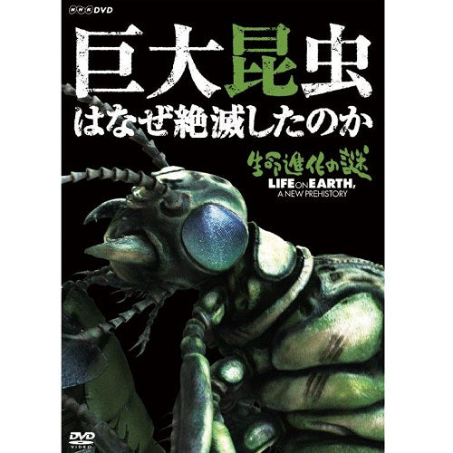 生命進化の謎 巨大昆虫はなぜ絶滅したのか　DVD