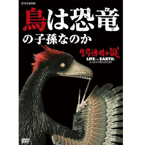 生命進化の謎 鳥は恐竜の子孫なのか　DVD