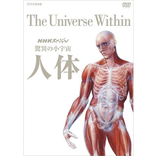 NHKスペシャル 驚異の小宇宙 人体 DVD-BOX 全6枚（新価格） -NHK