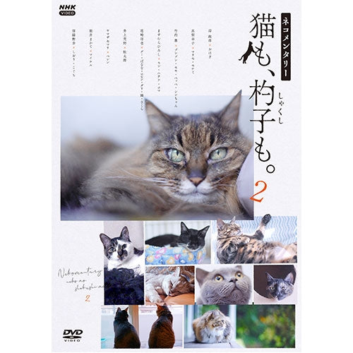 ネコメンタリー 猫も,杓子も。〈2枚組〉 ネコメンタリー猫も、杓子も。2 DVD 全2枚 -NHKグループ公式通販 - NHK