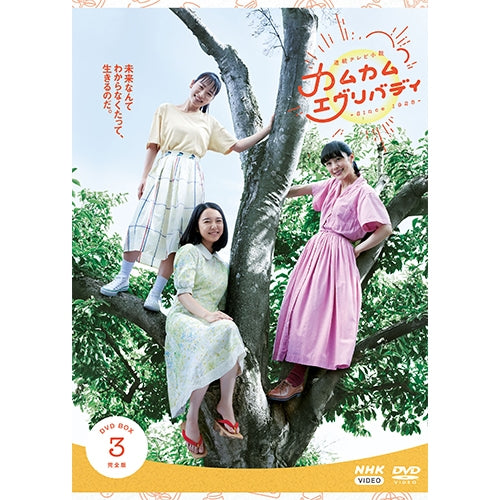 NHK 連続テレビ小説 カムカムエヴリバディ DVD BOX 3 完全版 カムカムエヴリバディ 完全版 DVD-BOX3 全4枚 連続テレビ小説 -NHK