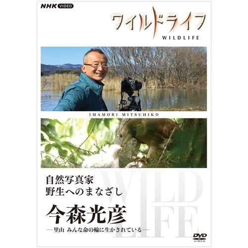 ワイルドライフ 自然写真家 野生へのまなざし 今森光彦 DVD -NHK
