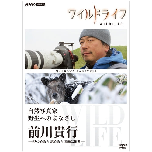 ワイルドライフ 自然写真家 野生へのまなざし 前川貴行 DVD