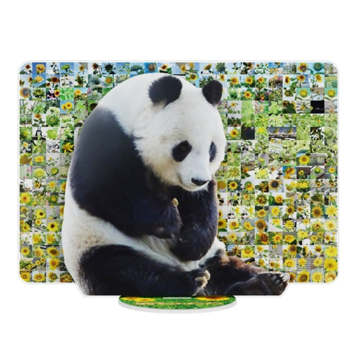 パンダさんとハリネズミ DVD 初回限定版 1 2 セット パンダさんとハリネズミ DVD 初回限定版 1 2 セット Amazon.co.jp