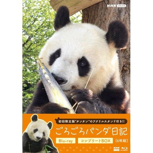 【初回限定アクスタ付き】ごろごろパンダ日記 コンプリート ブルーレイ BOX全6枚