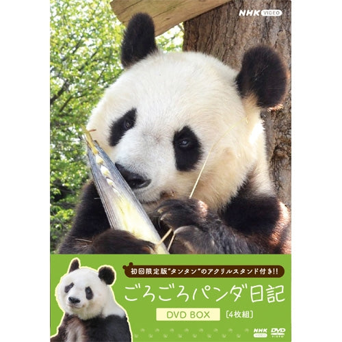 初回限定アクスタ付き】ごろごろパンダ日記 DVD BOX 全4枚 -NHK