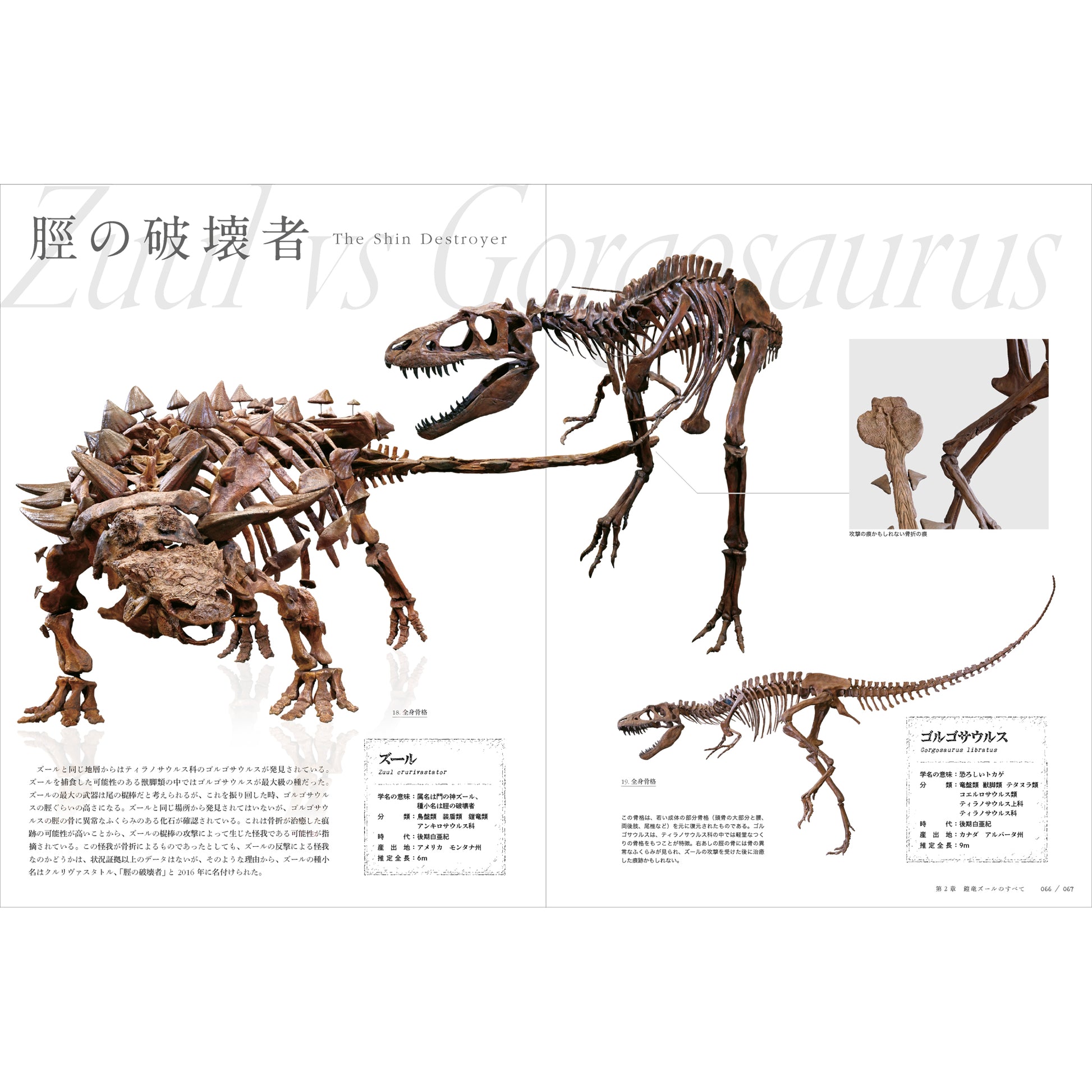 特別展「恐竜博2023」図録- NHKグループ公式通販 - NHKグループ 