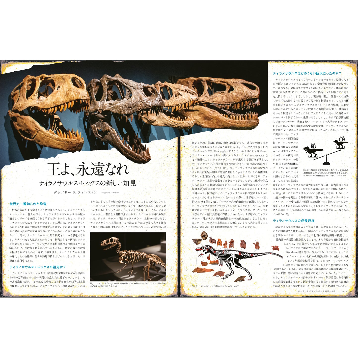 中国の恐竜展 - 2