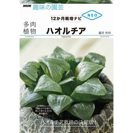 ＮＨＫ趣味の園芸　１２か月栽培ナビNEO　多肉植物　ハオルチア