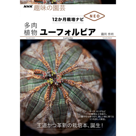 ＮＨＫ趣味の園芸　１２か月栽培ナビNEO　多肉植物　ユーフォルビア