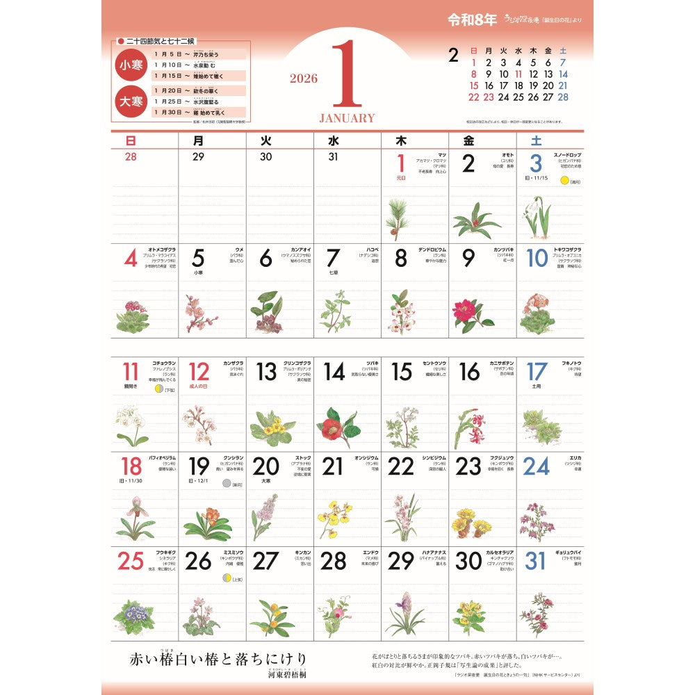 ラジオ深夜便 誕生日の花 2026年壁掛けカレンダー