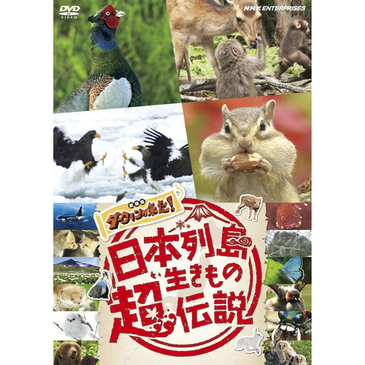 日本列島生きもの超伝説　劇場版ダーウィンが来た！ DVD