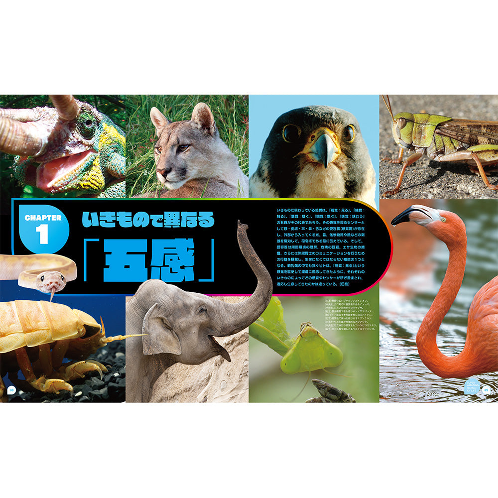 特別展「いきもの超ワールド展国立科学博物館×ダーウィンが来た
