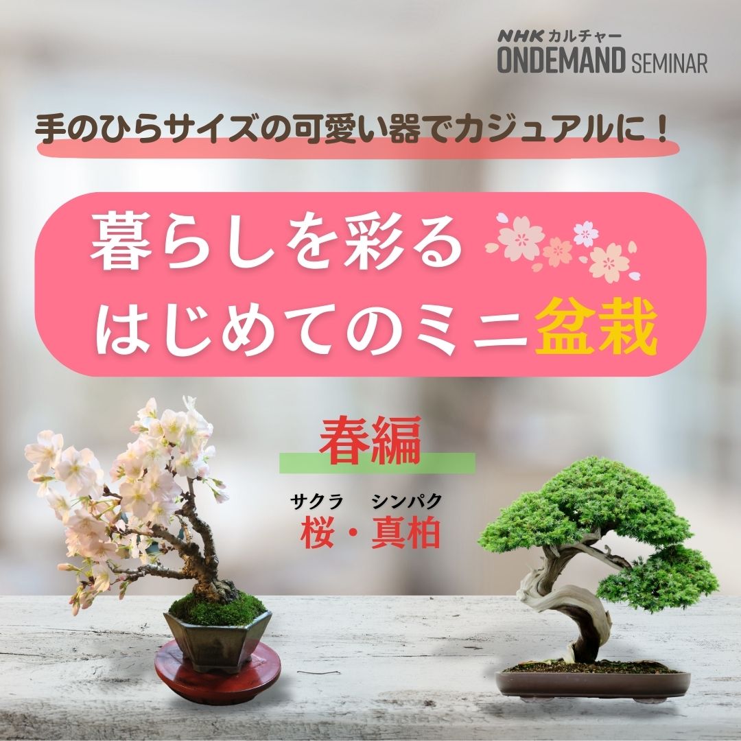 【オンデマンド配信】暮らしを彩る はじめてのミニ盆栽　春編 ～桜・真柏～