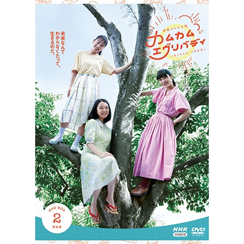 連続テレビ小説 カムカムエヴリバディ 完全版 DVD-BOX2 全4枚